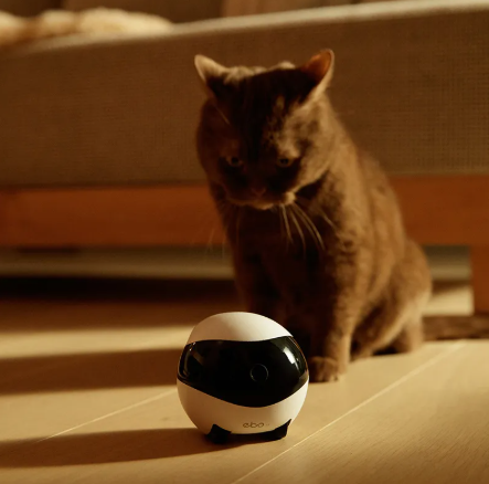 Smart Companion Robot Camera