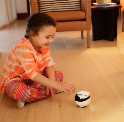 Smart Companion Robot Camera