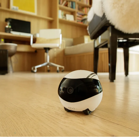 Smart Companion Robot Camera